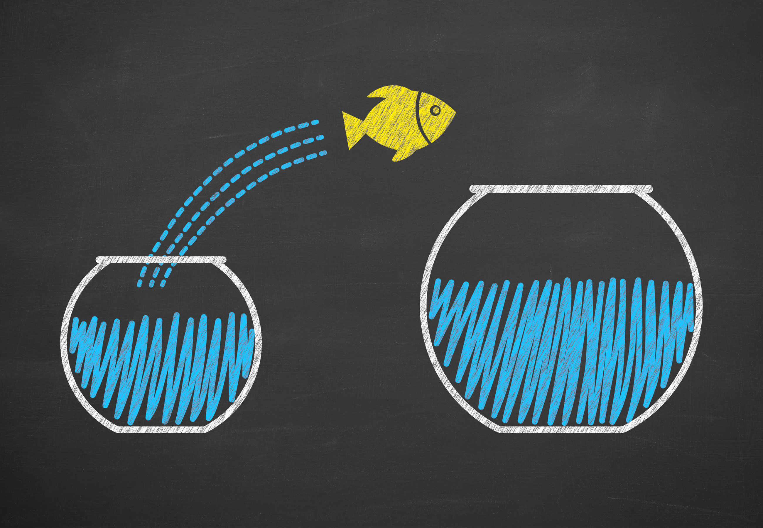 How do manufacturers with limited resources choose between two promising growth opportunities? Here are a few ways data visualization tools can help.